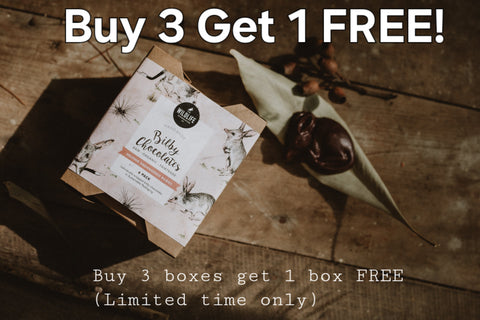 BUY 3 GET 1 FREE DEAL! 4 Boxes of Organic Easter Bilby Chocolates (Raw) for the price of 3 | Each Box contains 6 Individually Wrapped Bilbies | Fair Trade, Raw Cacao, Ethical, Australian Honey | Helps Bilbies