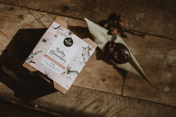 Organic Raw Bilby Chocolates Sweetened with Honey | 6 Individually Wrapped Bilbies | Fair Trade, Raw Cacao, Ethical, Sweetened using Australian Honey, Sustainable Packaging | Helps Bilbies!