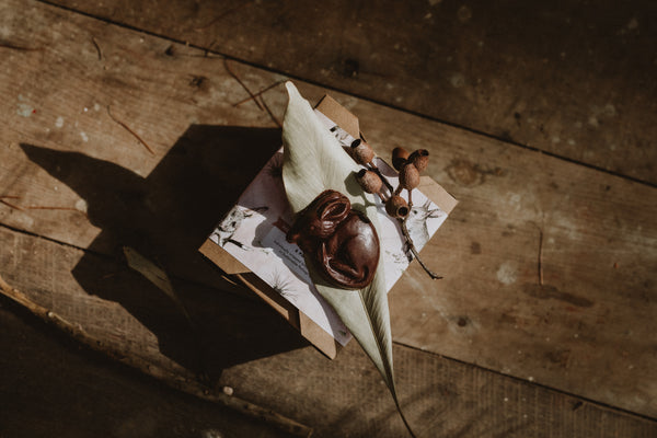 Organic Easter Bilby Chocolates (Raw) | 6 Individually Wrapped Bilbies | Fair Trade, Raw Cacao, Ethical, Australian Honey | Helps Bilbies