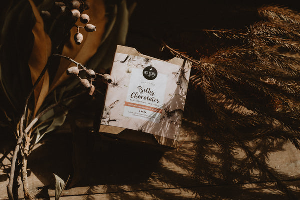 Organic Easter Bilby Chocolates (Raw) | 6 Individually Wrapped Bilbies | Fair Trade, Raw Cacao, Ethical, Australian Honey | Helps Bilbies