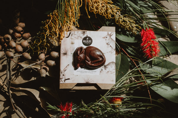 Organic Easter Bilby Chocolates (Raw) | 6 Individually Wrapped Bilbies | Fair Trade, Raw Cacao, Ethical, Australian Honey | Helps Bilbies