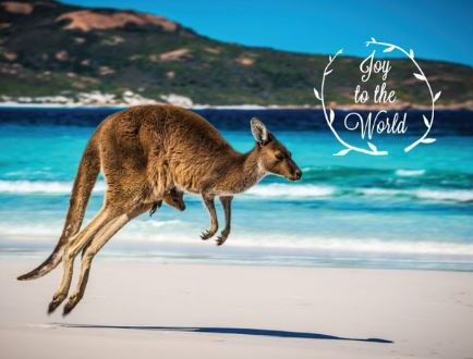 Joy to the World - Kangaroo Greeting Card | Printed on 100% Recycled Paper | Helps Endangered Species