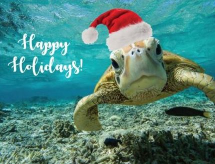 5 pack - Happy Holidays - Sea Turtle Greeting Cards | Printed on 100% Recycled Paper | Helps Endangered Species