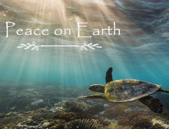 3 pack - Christmas Greeting Cards | Printed on 100% Recycled Paper | Helps Endangered Species