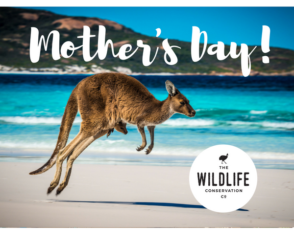 Mother's Day Eco Gift Pack - Small | FREE Shipping | Helps Endangered Species
