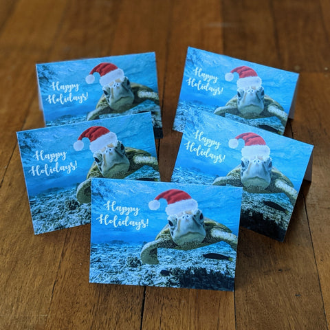 5 pack - Happy Holidays - Sea Turtle Greeting Cards | Printed on 100% Recycled Paper | Helps Endangered Species